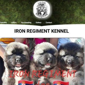 Ironregiment